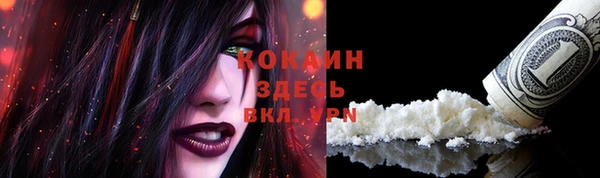 индика Рославль