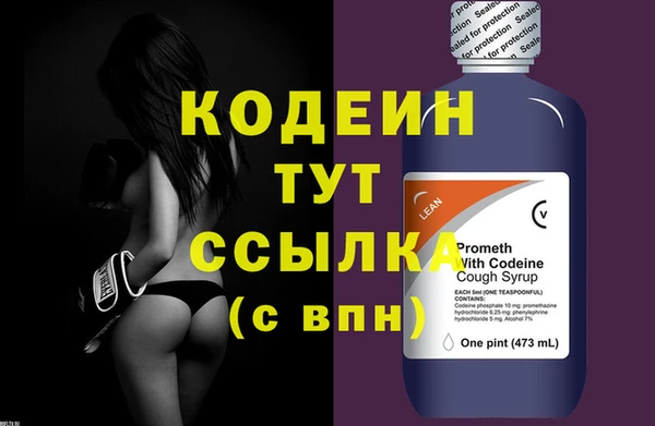 индика Рославль