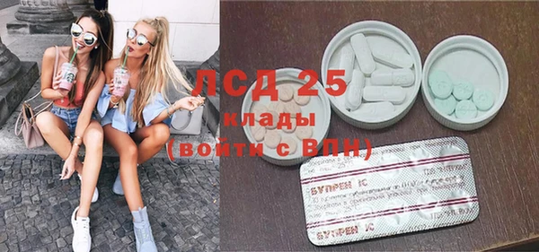 индика Рославль