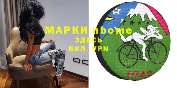 индика Рославль