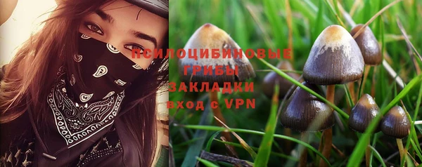 индика Рославль