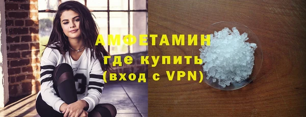 индика Рославль
