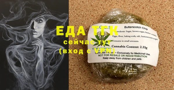 индика Рославль
