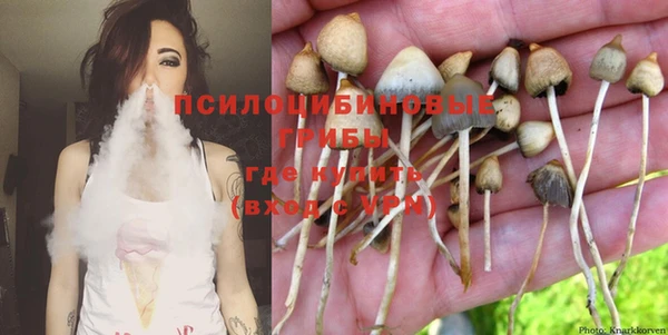 индика Рославль