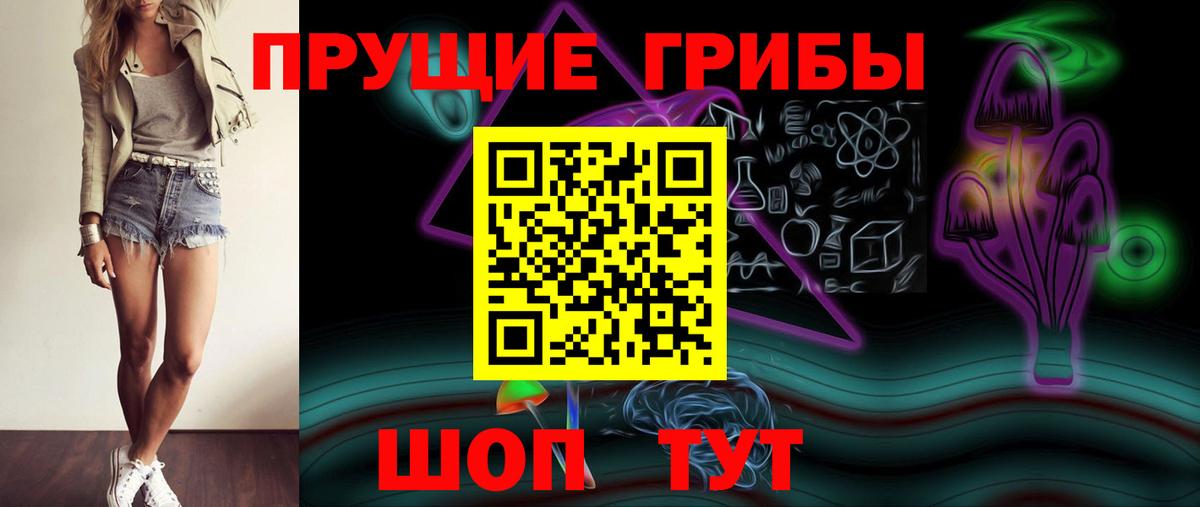 Галлюциногенные грибы Psilocybine cubensis  Галлюциногенные грибы Cubensis  Казань 