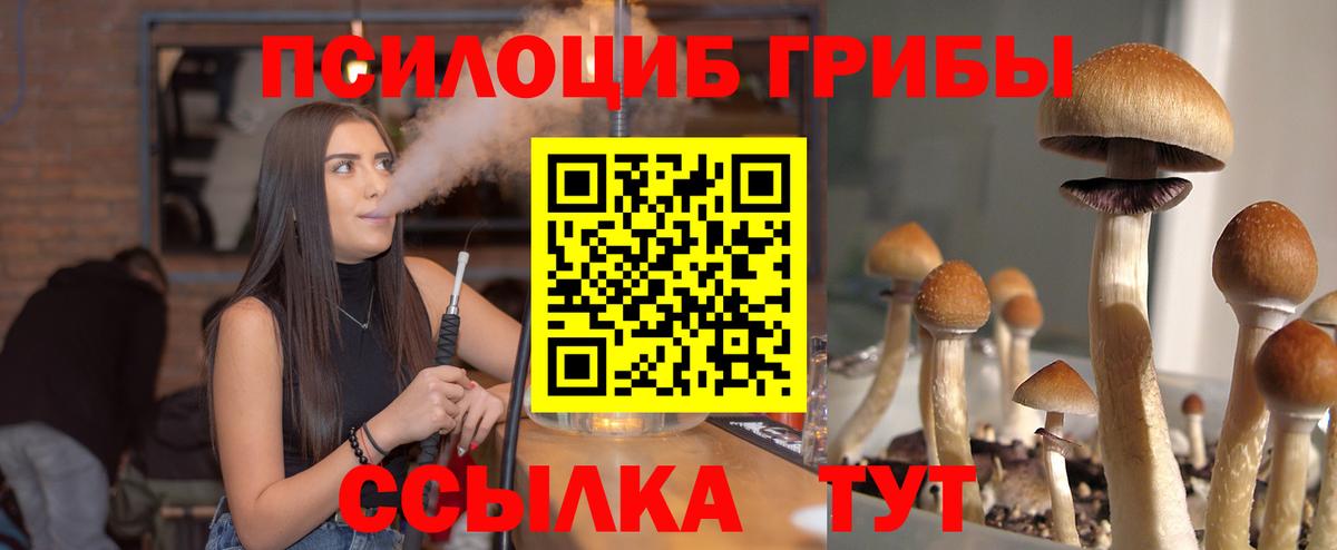 Галлюциногенные грибы Cubensis  Вход с VPN  Казань 